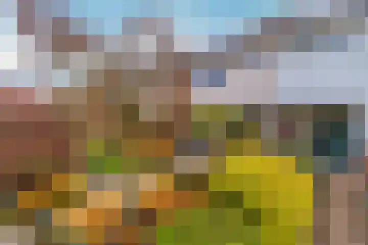 Veldbloemenlaan 21 Elburg thumbnail 4