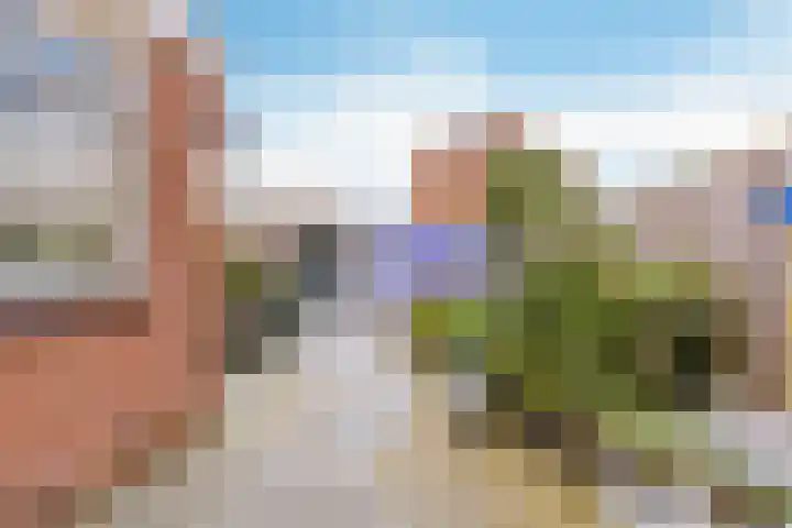 Veldbloemenlaan 21 Elburg thumbnail 43