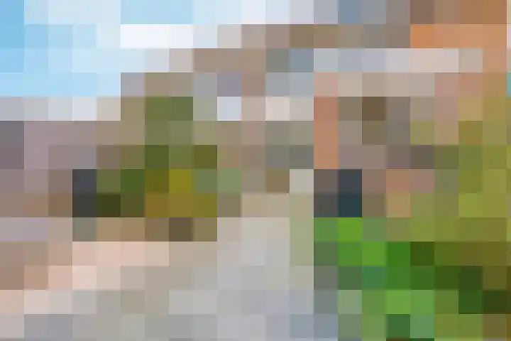 Veldbloemenlaan 21 Elburg thumbnail 44