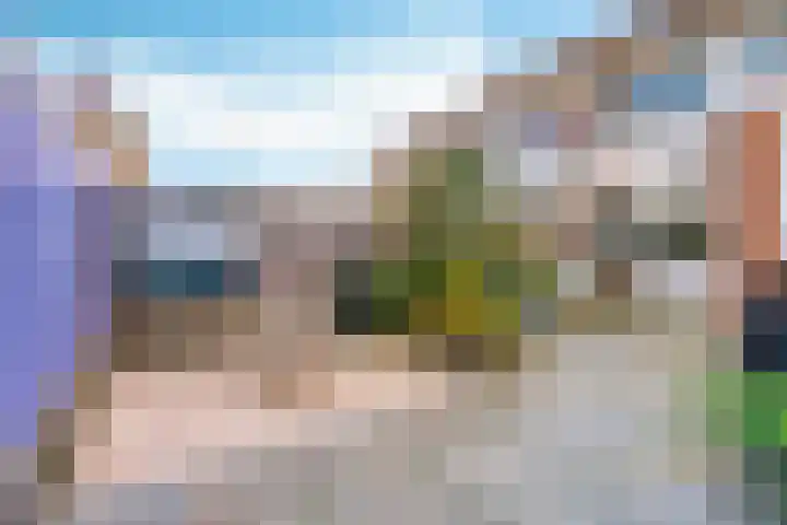 Veldbloemenlaan 21 Elburg thumbnail 46