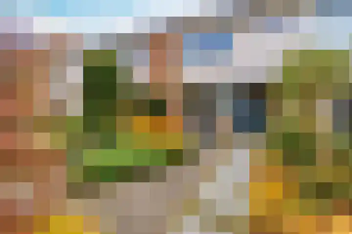Veldbloemenlaan 21 Elburg thumbnail 5