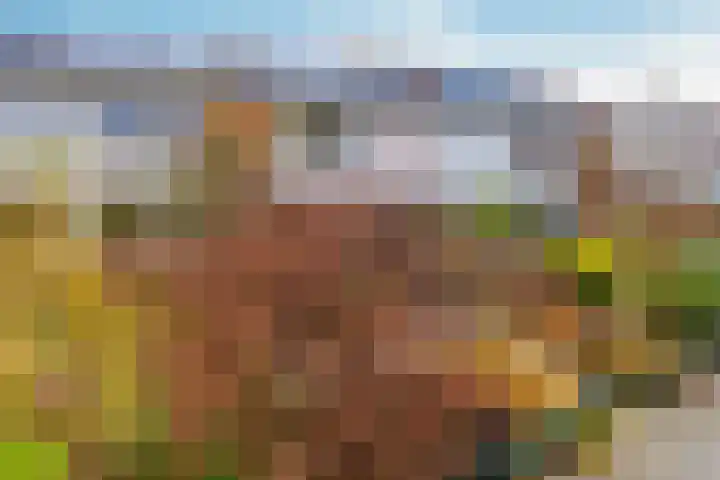 Veldbloemenlaan 21 Elburg thumbnail 53