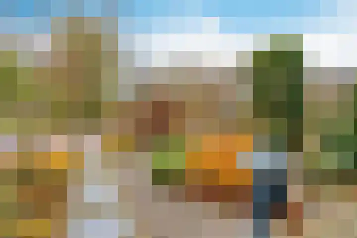 Veldbloemenlaan 21 Elburg thumbnail 54