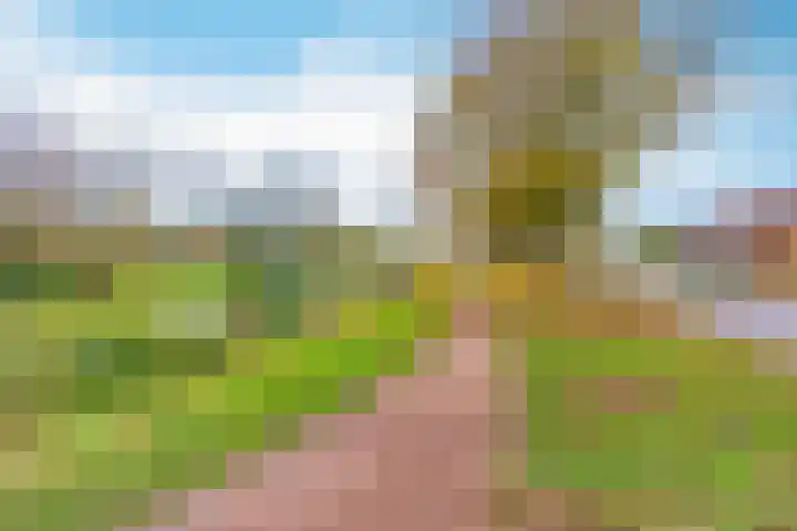 Veldbloemenlaan 21 Elburg thumbnail 55