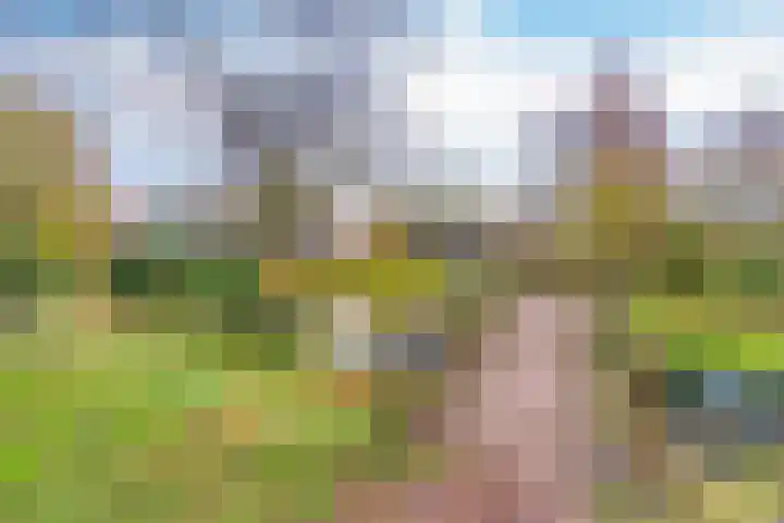 Veldbloemenlaan 21 Elburg thumbnail 56