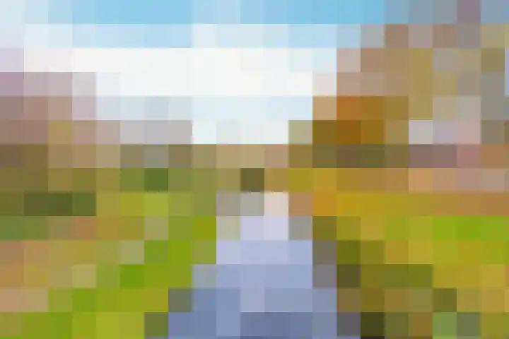 Veldbloemenlaan 21 Elburg thumbnail 57