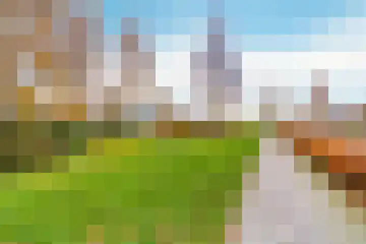 Veldbloemenlaan 21 Elburg thumbnail 58