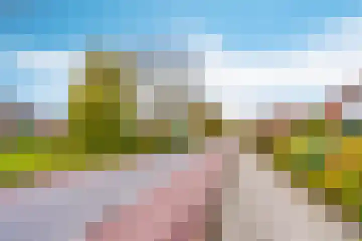 Veldbloemenlaan 21 Elburg thumbnail 60