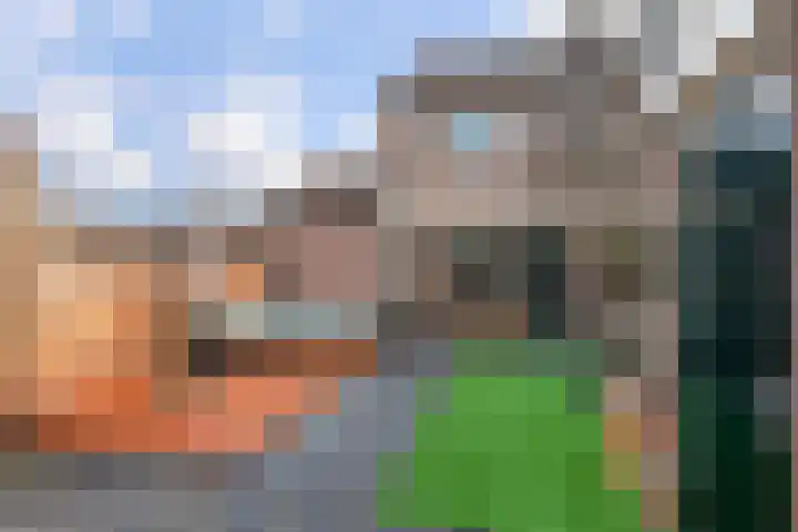 Veldbloemenlaan 30 Woerden thumbnail 31