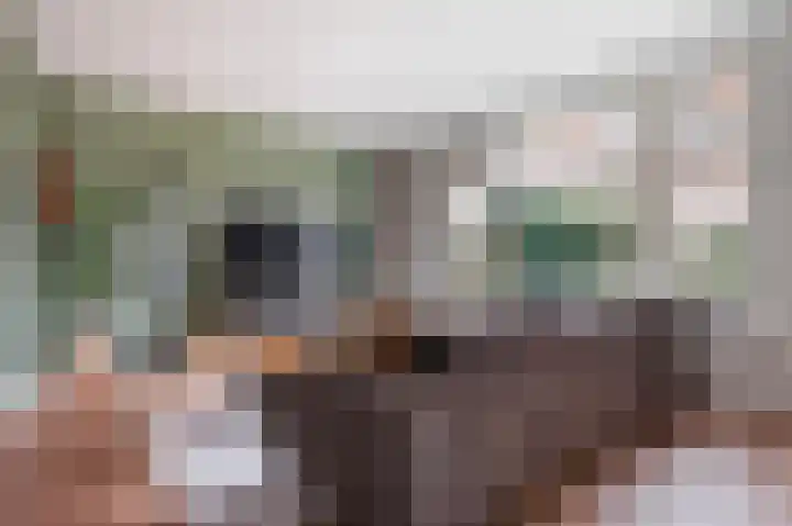Veldbloemenlaan 30 Woerden thumbnail 9