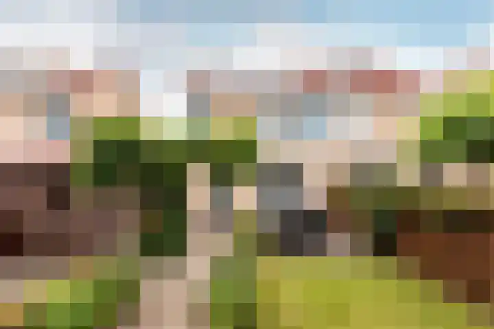 Veldbloemenlaan 68 Elburg thumbnail 30