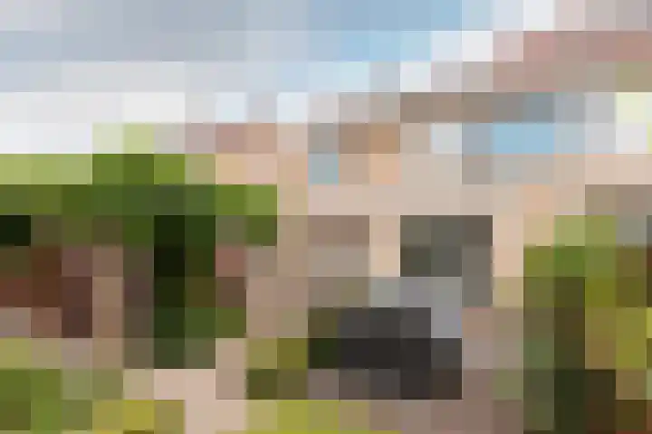 Veldbloemenlaan 68 Elburg thumbnail 31