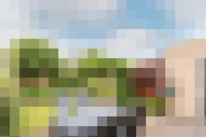 Veldbloemenlaan 68 Elburg thumbnail 32