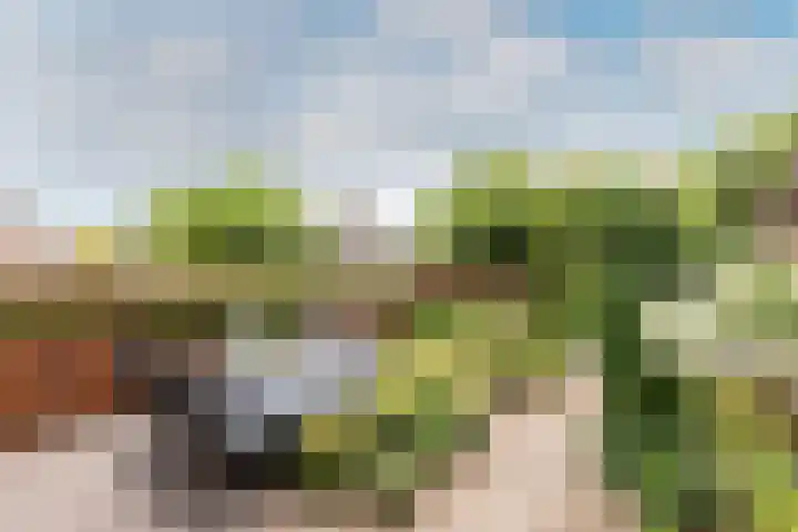 Veldbloemenlaan 68 Elburg thumbnail 33