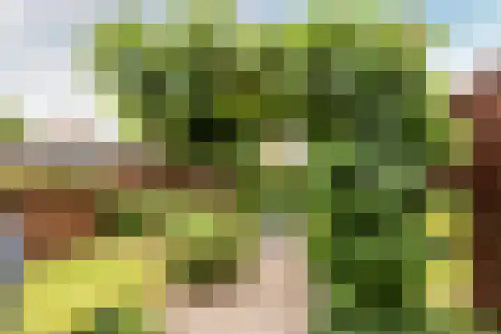Veldbloemenlaan 68 Elburg thumbnail 34