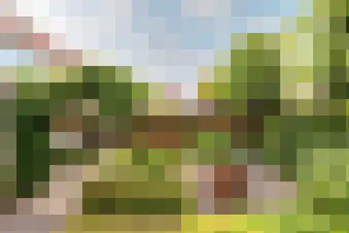 Veldbloemenlaan 68 Elburg thumbnail 35