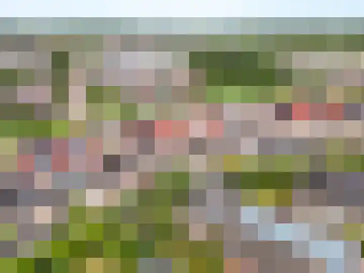Veldbloemenlaan 68 Elburg thumbnail 37