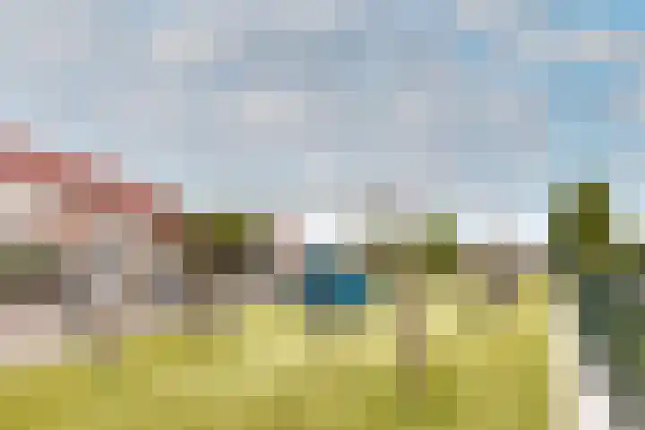 Veldbloemenlaan 68 Elburg thumbnail 38