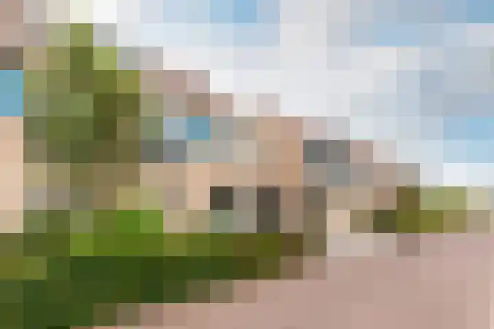 Veldbloemenlaan 68 Elburg thumbnail 5