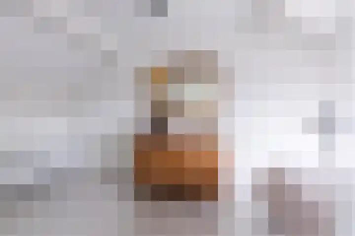 Veldbloemenlaan 73 Woerden thumbnail 32