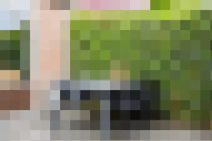 Veldbloemenlaan 73 Woerden thumbnail 38