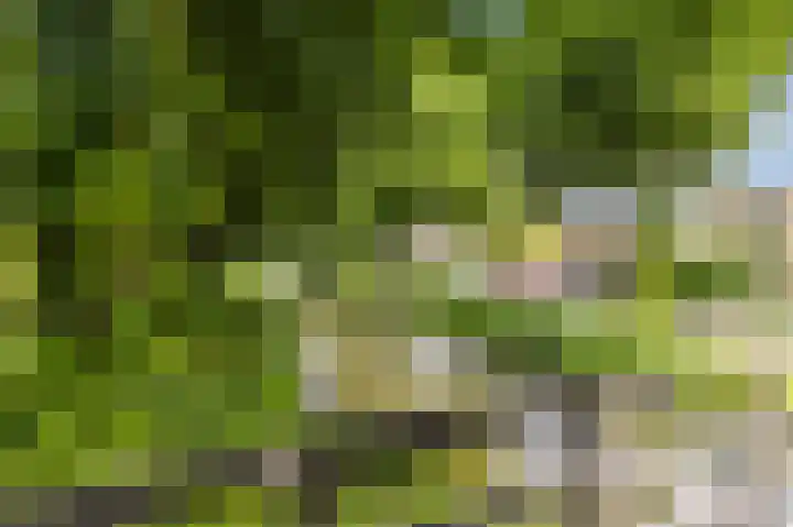 Veldbloemenlaan 73 Woerden thumbnail 40
