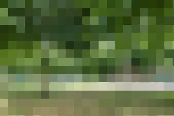 Veldbloemenlaan 73 Woerden thumbnail 41