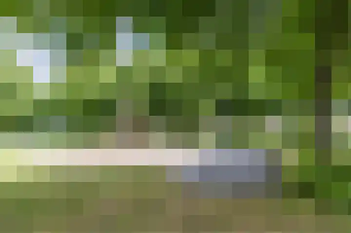 Veldbloemenlaan 73 Woerden thumbnail 42