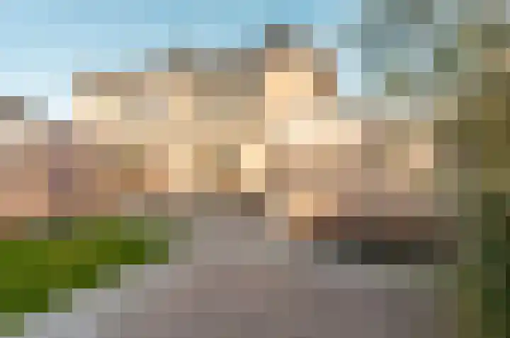 Veldbloemenlaan 8 Elburg thumbnail 29