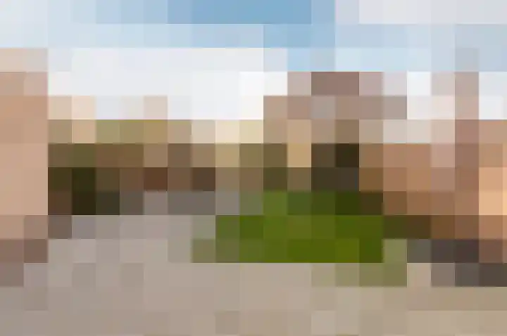Veldbloemenlaan 8 Elburg thumbnail 30