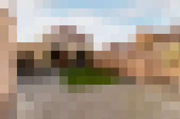 Veldbloemenlaan 8 Elburg thumbnail 31