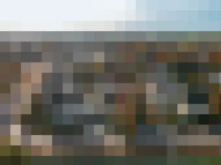 Veldbloemenlaan 8 Elburg thumbnail 37