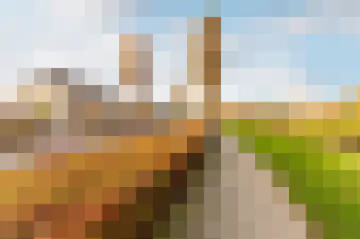 Veldbloemenlaan 8 Elburg thumbnail 38