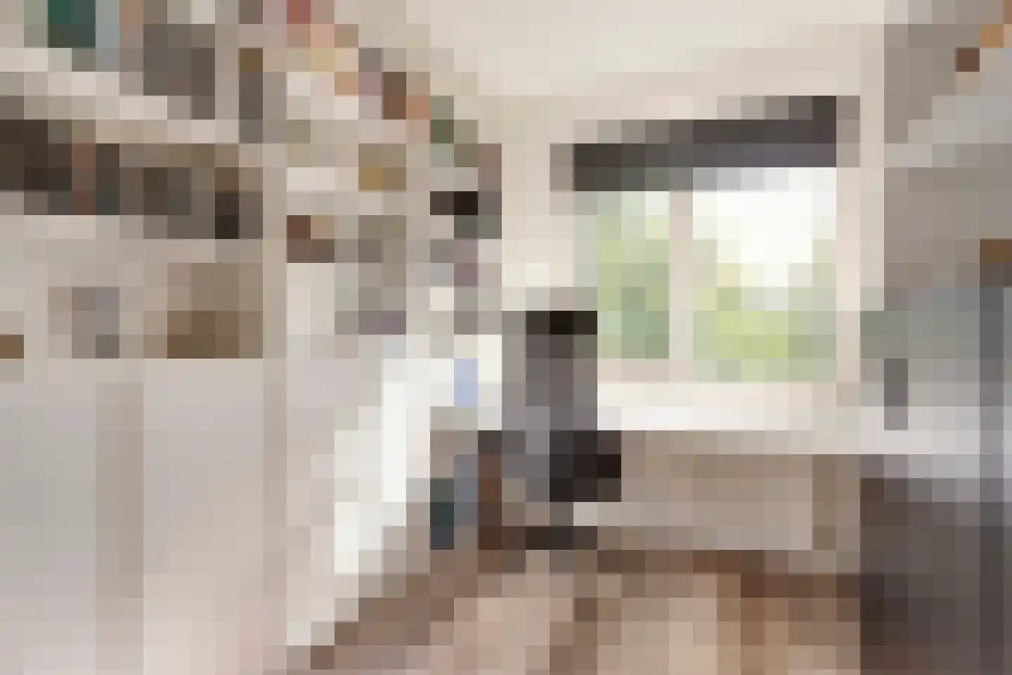 Veldbloemenlaan 88 Elburg thumbnail 34