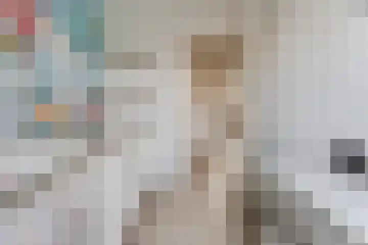Veldbloemenweg 10 Zaandam thumbnail 35
