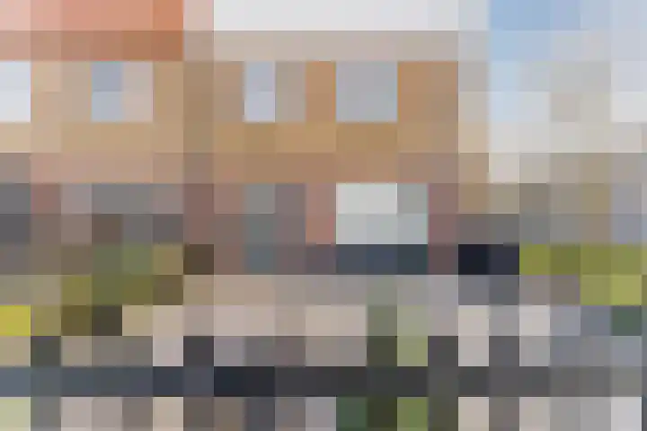 Veldbloemenweg 10 Zaandam thumbnail 4