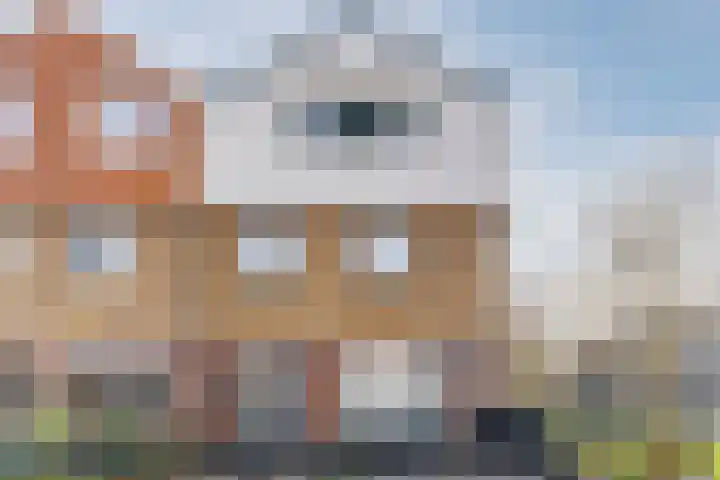 Veldbloemenweg 10 Zaandam thumbnail 5