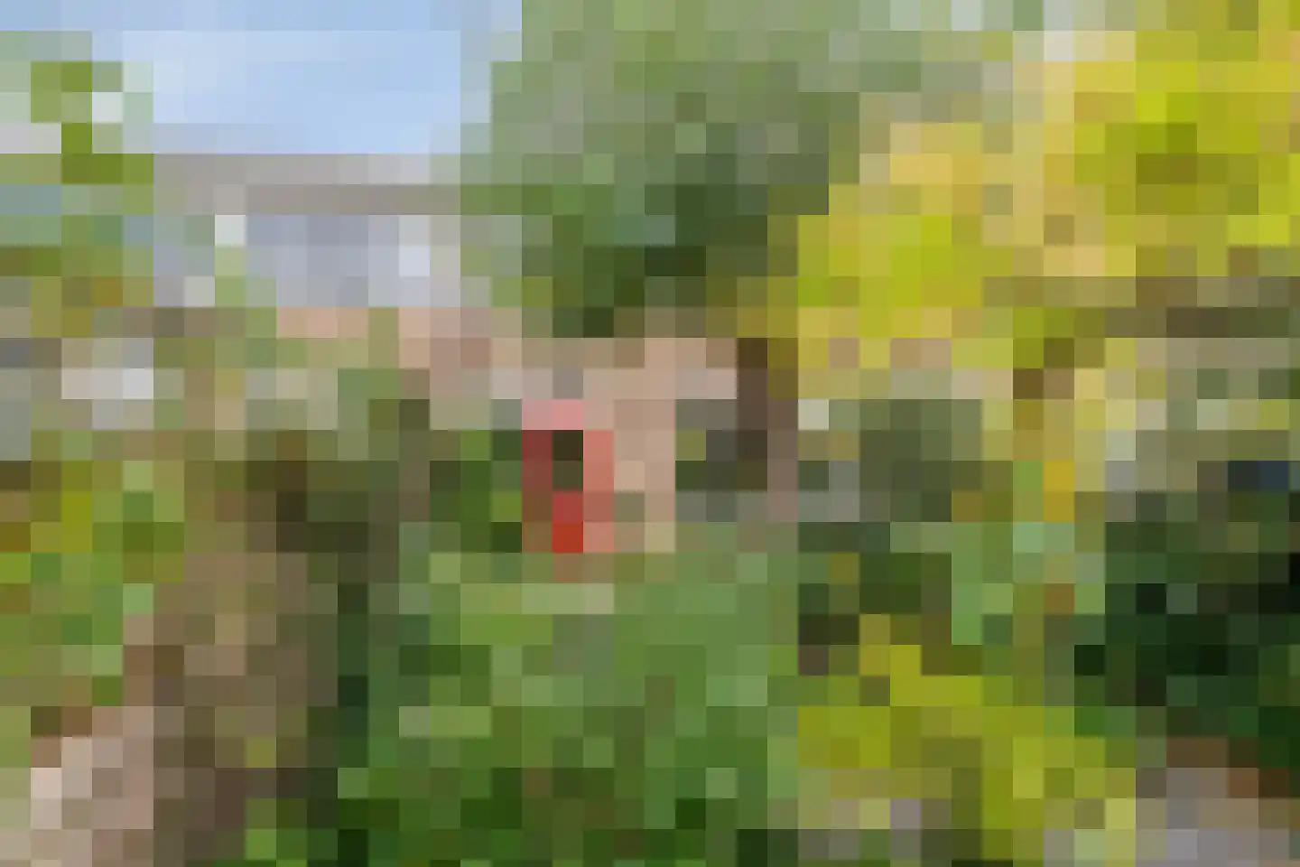 Veldbloemenweg 5 Zaandam thumbnail 30