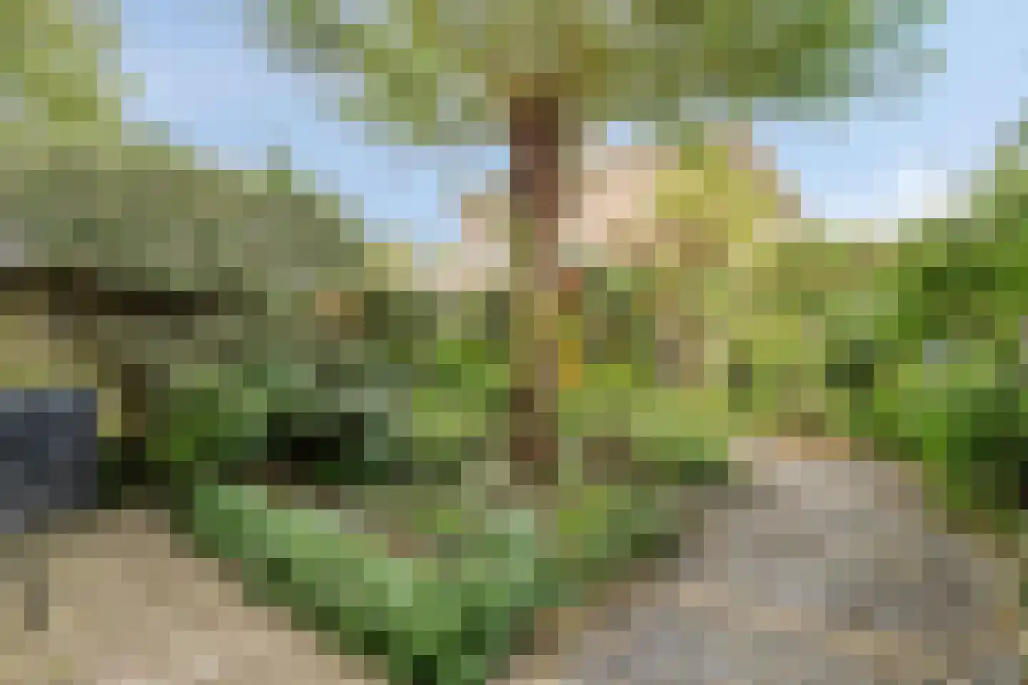 Veldbloemenweg 5 Zaandam thumbnail 6