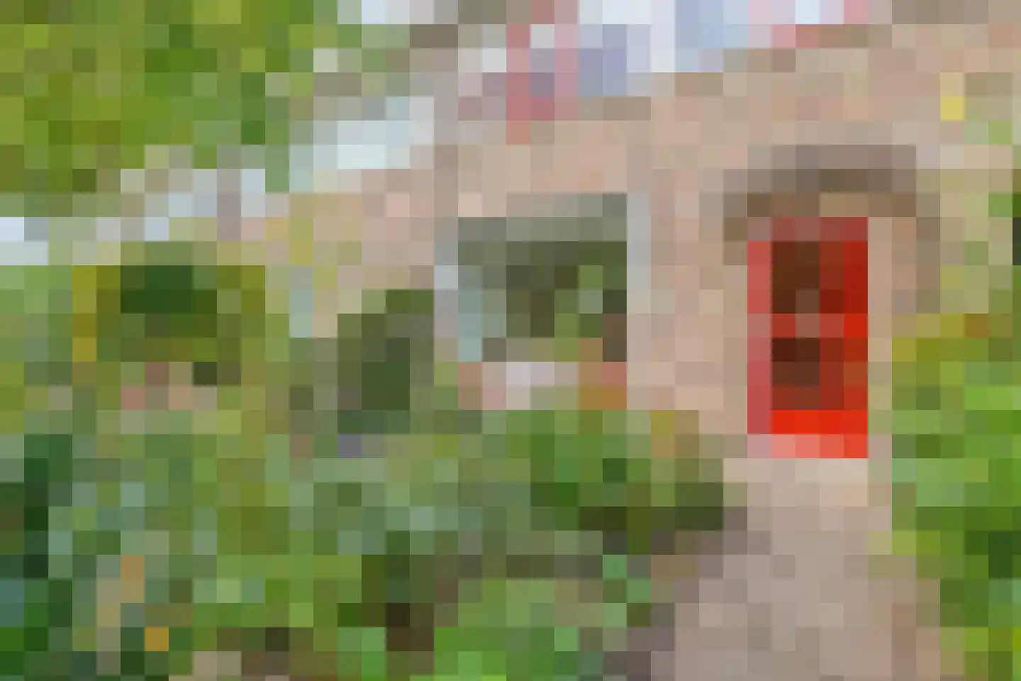 Veldbloemenweg 5 Zaandam thumbnail 7