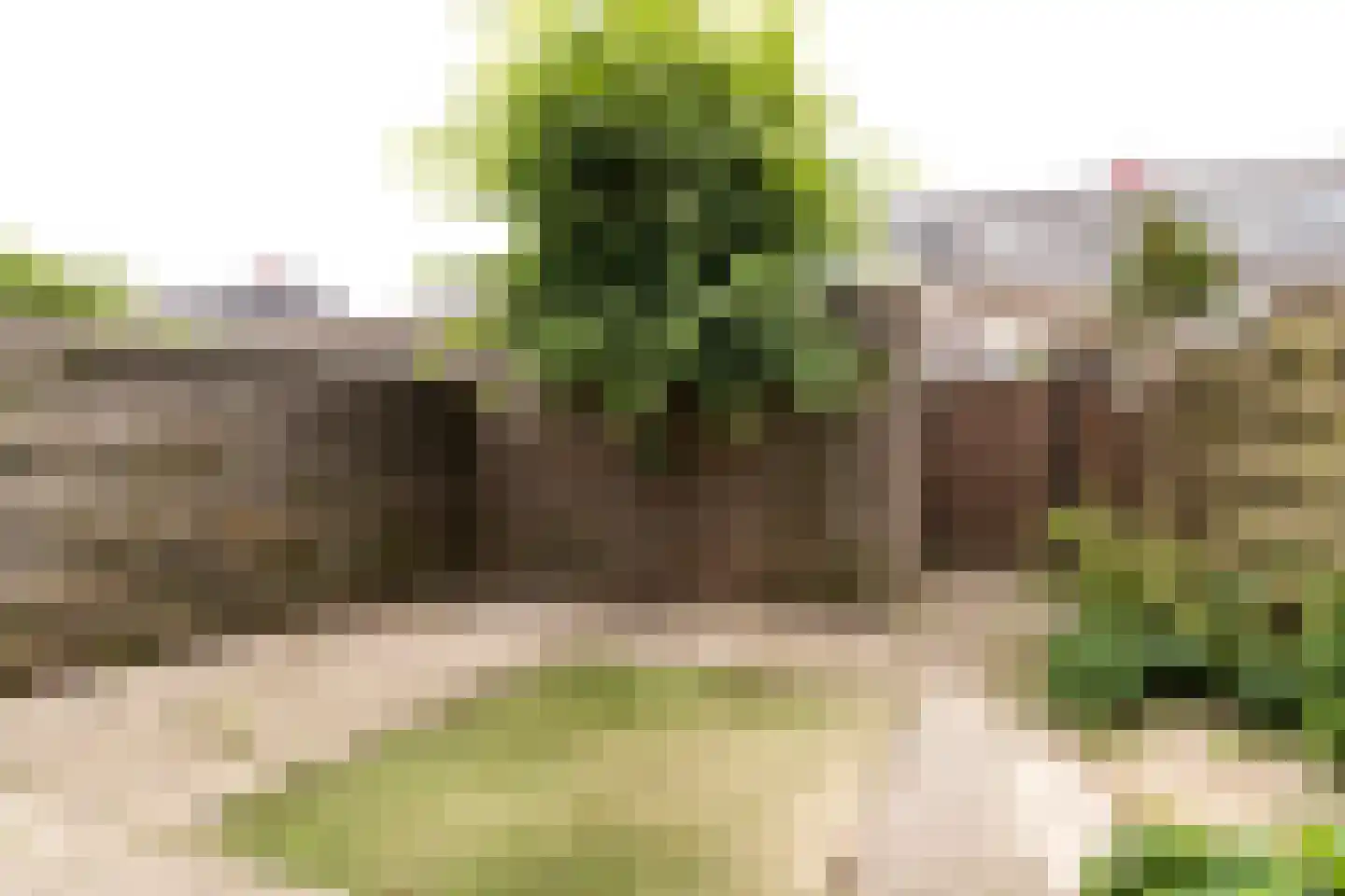 Veldbloemlaan 46 Vleuten thumbnail 21