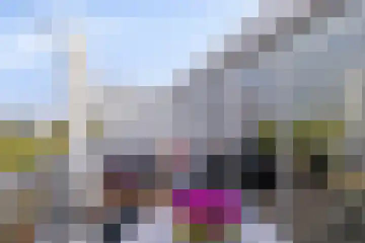 Veldbloemlaan 63 Vleuten thumbnail 11
