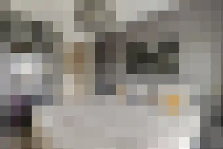 Veldbloemlaan 63 Vleuten thumbnail 17