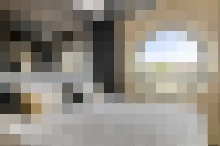 Veldbloemlaan 63 Vleuten thumbnail 18