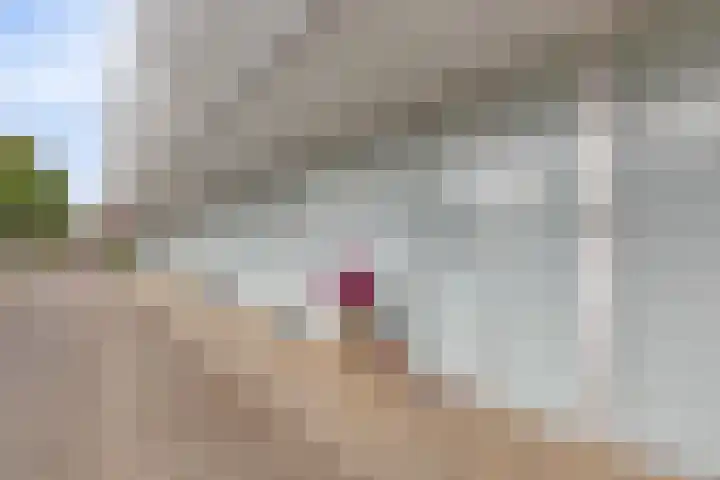 Veldbloemlaan 63 Vleuten thumbnail 26