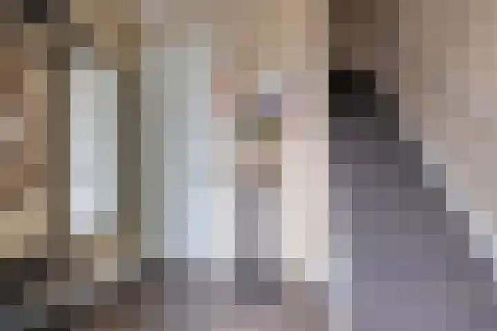 Veldbloemlaan 63 Vleuten thumbnail 27