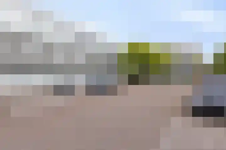 Veldbloemlaan 63 Vleuten thumbnail 29