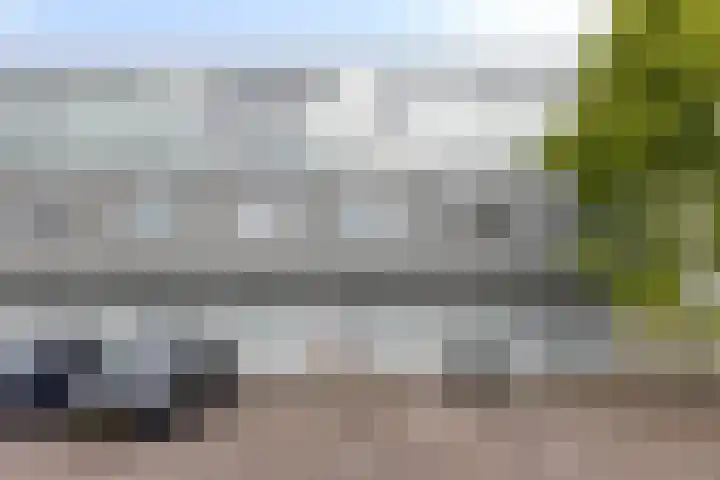 Veldbloemlaan 63 Vleuten thumbnail 31