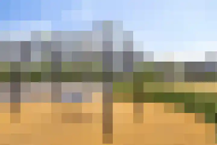Veldbloemlaan 63 Vleuten thumbnail 33