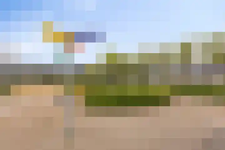 Veldbloemlaan 63 Vleuten thumbnail 34